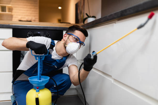 Best Mosquito Control Services  in Carlyle, IL