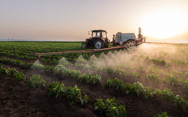 Best Pest Inspection Near Me  in Carlyle, IL