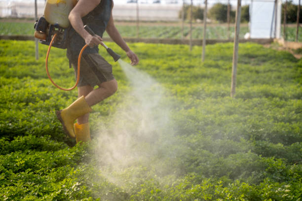 Best Affordable Pest Control Services  in Carlyle, IL