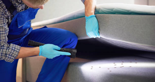Best Ant Control Services  in Carlyle, IL