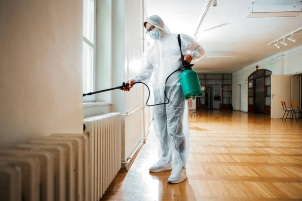 Flea Control Services in Carlyle, IL