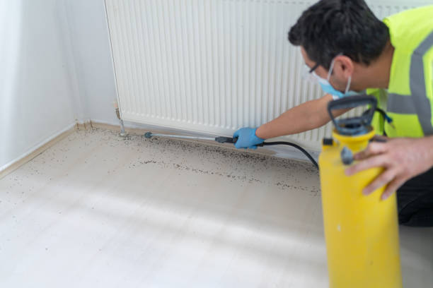 Best Best Pest Control Companies  in Carlyle, IL